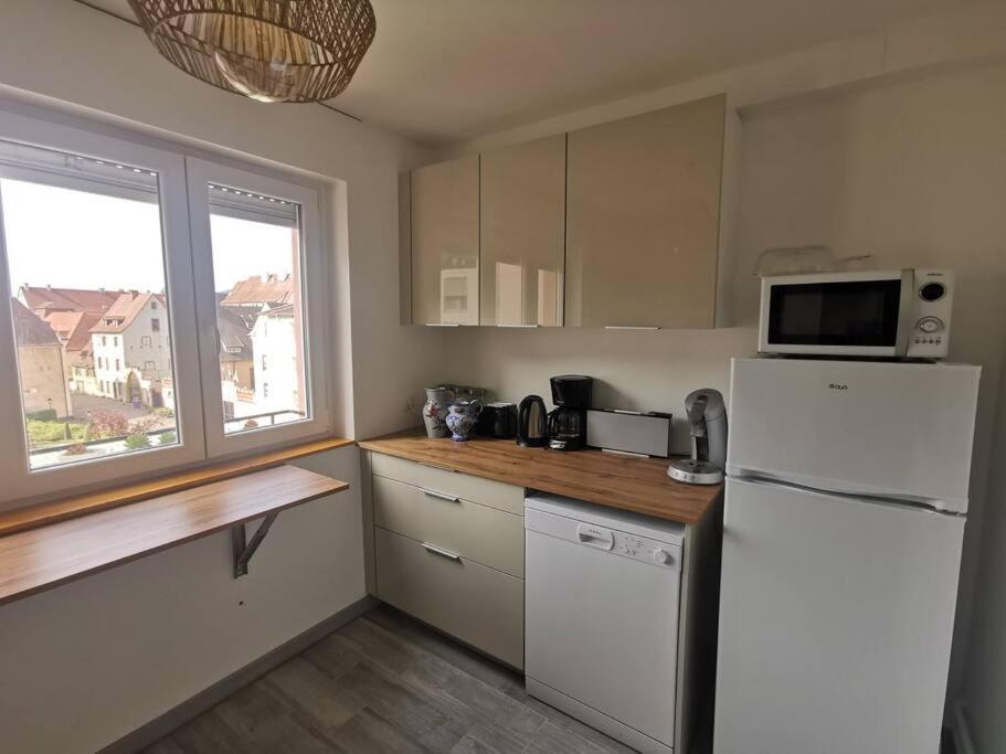 Logement Colmar Centre Avec Parking Dış mekan fotoğraf