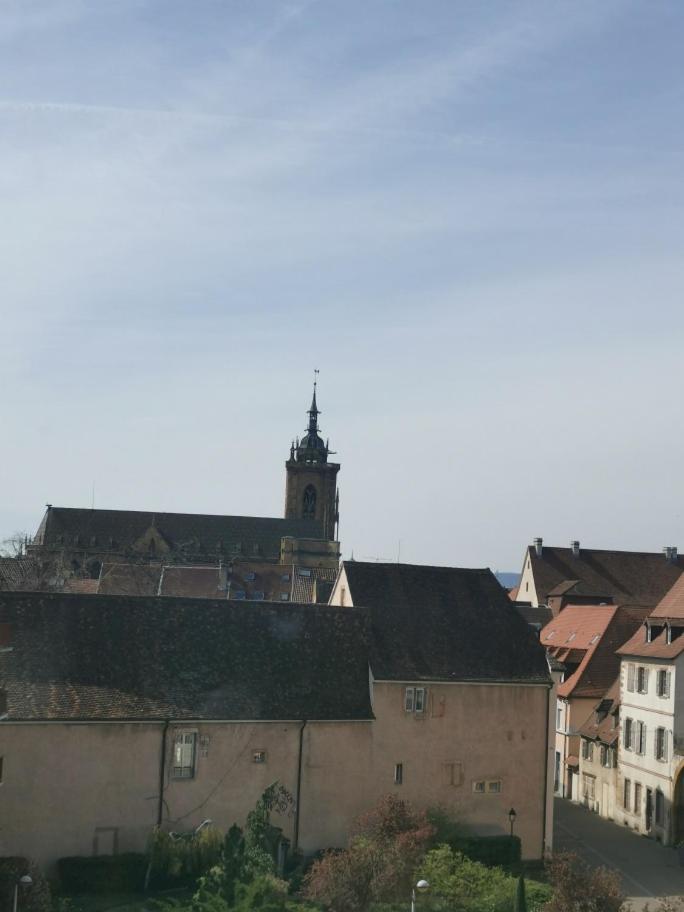 Logement Colmar Centre Avec Parking Dış mekan fotoğraf